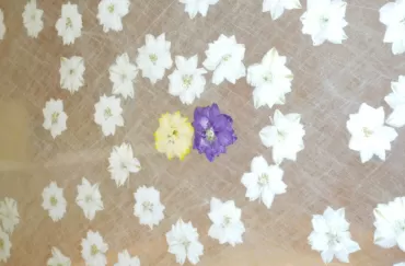 １／ｆ GINZA CAVE_2